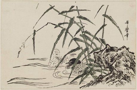 Kitagawa Utamaro: Ducks, Reeds, and Rocks - Museum of Fine Arts