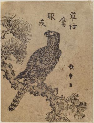 Kitagawa Utamaro: Falcon on Pine Branch - Museum of Fine Arts