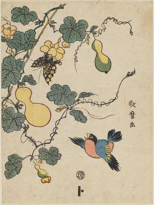 Kitagawa Utamaro: Bird, Gourd Vine, and Butterfly - Museum of Fine Arts