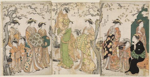 Torii Kiyonaga: Courtesans Viewing Cherry Blossoms - Museum of Fine Arts
