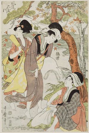 Kitagawa Utamaro: Settsu Province, from the series Fashionable Six Jewel Rivers (Fûryû Mu Tamagawa) - Museum of Fine Arts