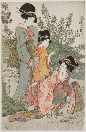 Kitagawa Utamaro: Ômi Province, from the series Fashionable Six Jewel Rivers (Fûryû Mu Tamagawa) - Museum of Fine Arts