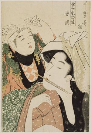 喜多川歌麿: Mistress Style (Mekake fû), from the series The Connoisseur of Present-day Customs (Tôsei fûzoku tsû) - ボストン美術館