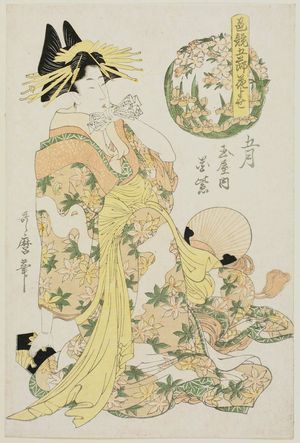 Kitagawa Utamaro: The Fifth Month: Hanamurasaki of the Tamaya (Gogatsu, Tamaya uchi Hanamurasaki), from the series Comparison of the Charms of Flowers of the Five Festivals (Iro kurabe Gosetsu hanayose) - Museum of Fine Arts