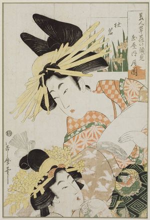 Kitagawa Utamaro: Iris (Kakitsubata): Tsukioka of the Tamaya, from the series Flowers and Beauties Making Their First Appearance (Bijin sôka no kaomise) - Museum of Fine Arts