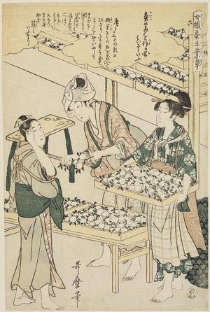喜多川歌麿: No. 6 from the series Women Engaged in the Sericulture Industry (Joshoku kaiko tewaza-gusa) - ボストン美術館