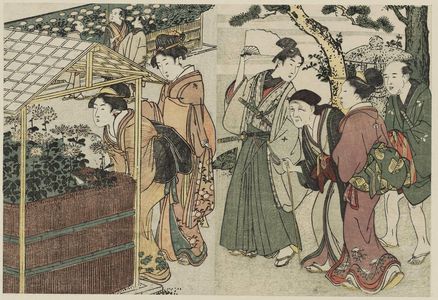 Kitagawa Utamaro: Display of Chrysanthemums, from Vol. 2 of the book Ehon shiki no hana (Flowers of the Four Seasons) - Museum of Fine Arts