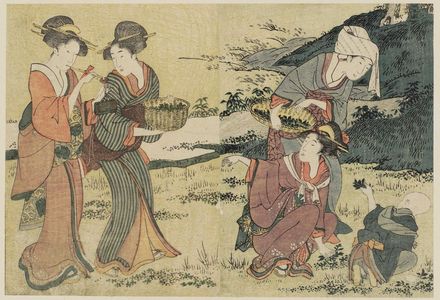 喜多川歌麿: Gathering Spring Herbs, from Vol. 1 of the book Ehon shiki no hana (Flowers of the Four Seasons) - ボストン美術館