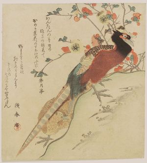 Kubo Shunman: Pheasants by a Bush - Museum of Fine Arts