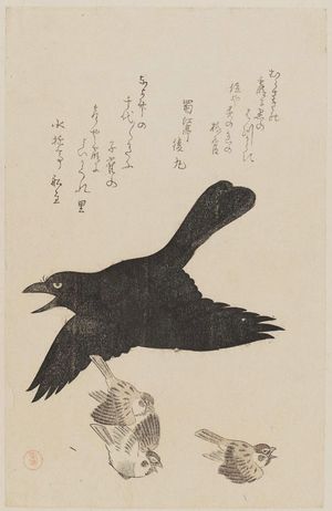 Kubo Shunman: Raven and Sparrows - Museum of Fine Arts