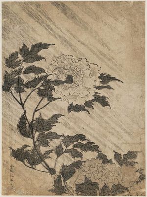 Kitao Masayoshi: Peonies in Rain - Museum of Fine Arts