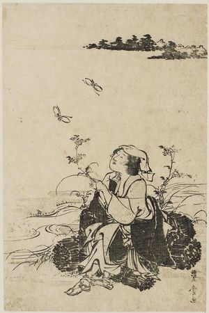 歌川豊広: Woman of Ôhara and Butterflies - ボストン美術館