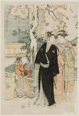 Utagawa Toyokuni I: Courtesan, Man, and Woman Under Cherry Blossoms - Museum of Fine Arts