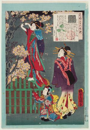 Utagawa Kunisada: No. 9, Wakamurasaki, from the series An Excellent Selection of Thirty-six Noted Courtesans (Meigi sanjûroku kasen) - Museum of Fine Arts