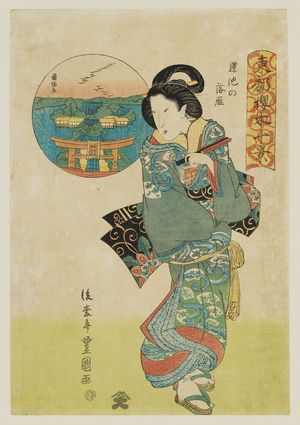 Utagawa Toyoshige: Descending Geese at ... (... no rakugan), from the series Ten Views of Cherry Trees in the Eastern Capital (Tôto sakuragi jikkei) - Museum of Fine Arts