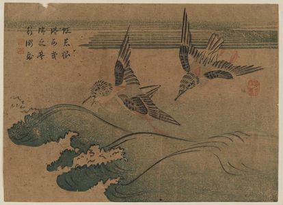 Katsushika Hokusai: Two Birds and Waves - Museum of Fine Arts