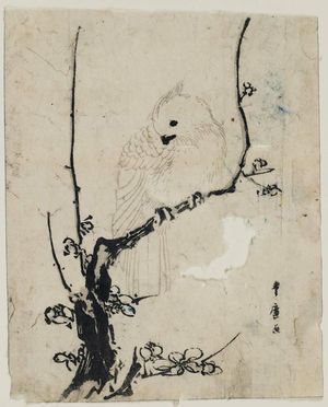 歌川豊広: Cockatoo on Plum Branch - ボストン美術館