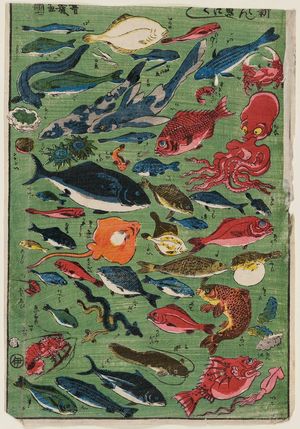 落合芳幾: Fish (Shinpan uo-zukushi) - ボストン美術館