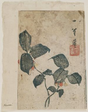 Keisai Eisen: Nandina - Museum of Fine Arts