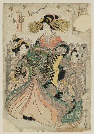 Kitagawa Utamaro: Hanami - Museum of Fine Arts