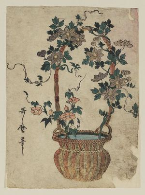 Kitagawa Utamaro: Flower arrangement - Museum of Fine Arts