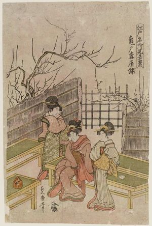 喜多川月麿: Kameido Umeyashiki, from the series Edo Meisho Mitate Jukkei (Parody on Ten Views, Famous Places in Edo) - ボストン美術館