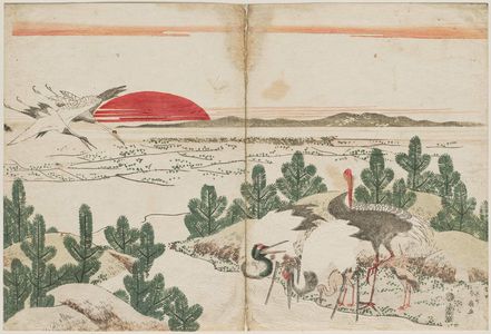 勝川春好: Cranes, Pine Shoots, and Rising Sun - ボストン美術館