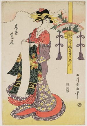 勝川春好: The Jewel River of Mount Kôya: Sugawara of the Tsuruya, from the series Famous Courtesans for the Six Jewel Rivers (Seirô meikun Mu Tamagawa) - ボストン美術館