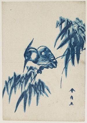 勝川春好: Kingfisher on Bamboo - ボストン美術館