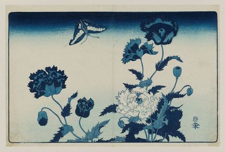 Kikugawa Eizan: Poppies and Butterfly - Museum of Fine Arts