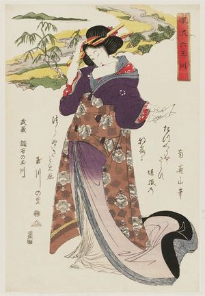 菊川英山: The Chôfu Jewel River in Musashi Province (Bushû Chôfu no Tamagawa), from the series Fashionable Six Jewel Rivers (Fûryû Mu Tamagawa) - ボストン美術館