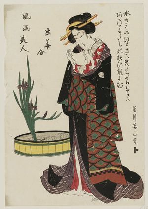 Kikugawa Eizan: from the series Fashionable Beauties Matched with Flower Arrangements (Fûryû bijin hana awase) - Museum of Fine Arts