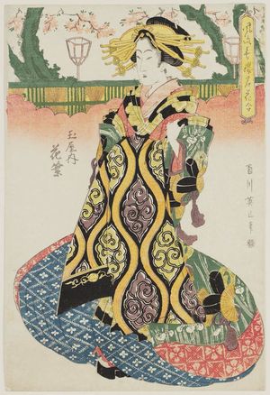 Kikugawa Eizan: Hanamurasaki of the Tamaya, from the series Fashionable Comparison of the Famous Flowers of ? (Fûryû ? meika awase) - Museum of Fine Arts