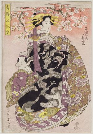 Kikugawa Eizan: Hanamurasaki of the Tamaya, from the series Comparison of the Famous Flowers of the Pleasure Quarters (Seirô meika awase) - Museum of Fine Arts