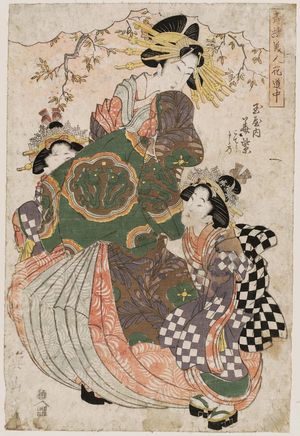 Kikugawa Eizan: Seirô bijin hana dôchû - Museum of Fine Arts