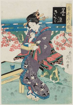 菊川英山: Kurozome sakura, from the series Tôsei bijin no hana - ボストン美術館