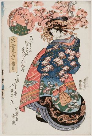 Keisai Eisen: Third Month, Cherry Blossoms in the Yoshiwara (Sangatsu, Kuruwa no hana): ... of the Shibauraya, from the series Twelve Months of Beauties of the Floating World (Ukiyo bijin jûnikagetsu) - Museum of Fine Arts