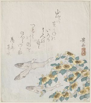 Keisai Eisen: Fish and Kerria Roses - Museum of Fine Arts