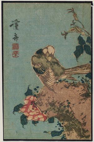 Keisai Eisen: Bird and flowers - Museum of Fine Arts