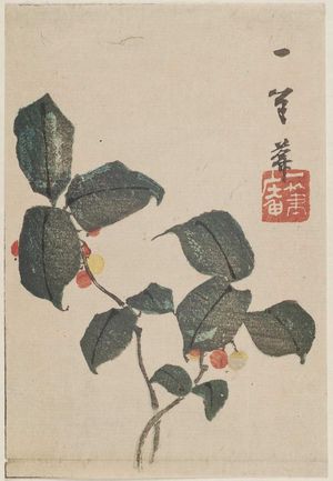 Keisai Eisen: Nandina - Museum of Fine Arts