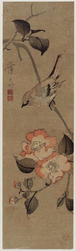 Keisai Eisen: Sparrow and Camellia - Museum of Fine Arts