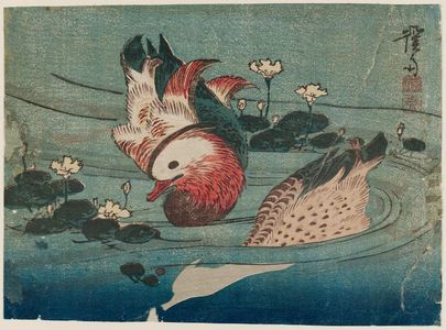 Keisai Eisen: Two Ducks - Museum of Fine Arts