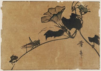 Keisai Eisen: Grasshopper & morning glory - Museum of Fine Arts