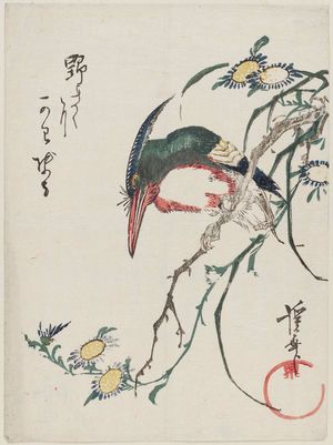 渓斉英泉: Kingfisher and Wild Chrysanthemum (Nogiku ni kawasemi) - ボストン美術館