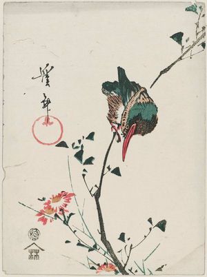 渓斉英泉: Kingfisher and Wild Chrysanthemum - ボストン美術館