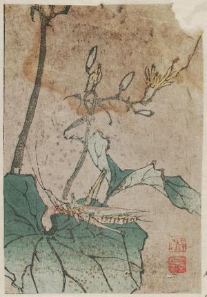 Keisai Eisen: Grasshopper on Leaf - Museum of Fine Arts