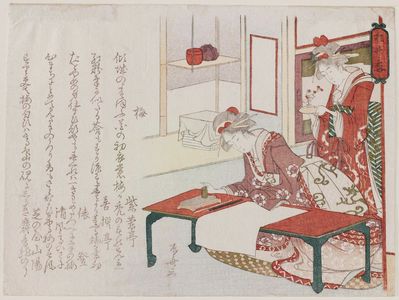 Ryuryukyo Shinsai: Plum (Ume), from the series Pine, Bamboo, and Plum (Shôchikubai) - Museum of Fine Arts