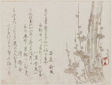 Ryuryukyo Shinsai: Plum Tree - Museum of Fine Arts