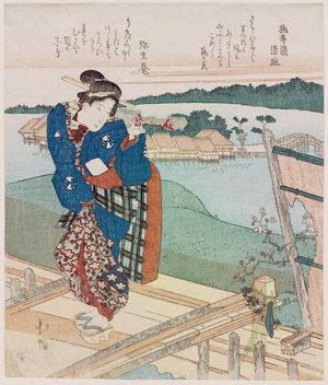 Totoya Hokkei: Surimono - Museum of Fine Arts