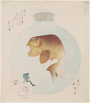 Totoya Hokkei: Goldfish in Glass Bulb - Museum of Fine Arts
